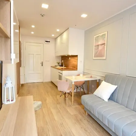 Premium Teatr Jaracza Apartment *